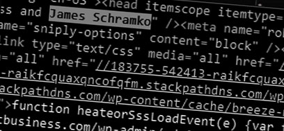 James Schramko 2005 first domain name